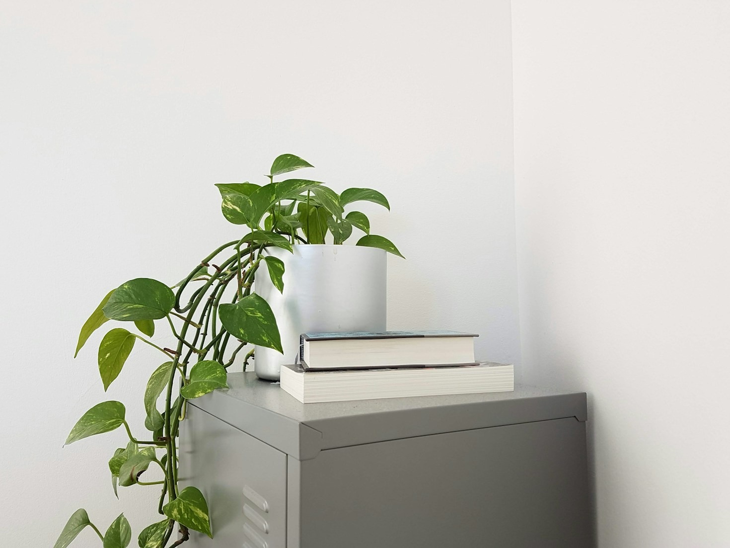 5 Ways to Style Your Shelves with Decorative Books